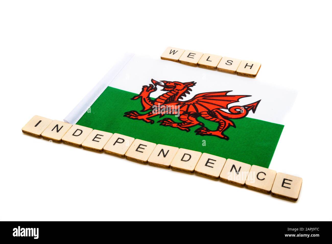 Die Nationalflaggen von Wales auf weißem Hintergrund mit einem Schild, das walisische Unabhängigkeit liest Stockfoto