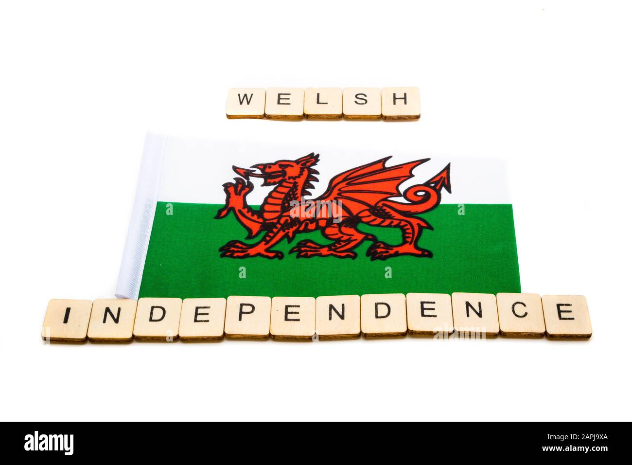 Die Nationalflaggen von Wales auf weißem Hintergrund mit einem Schild, das walisische Unabhängigkeit liest Stockfoto