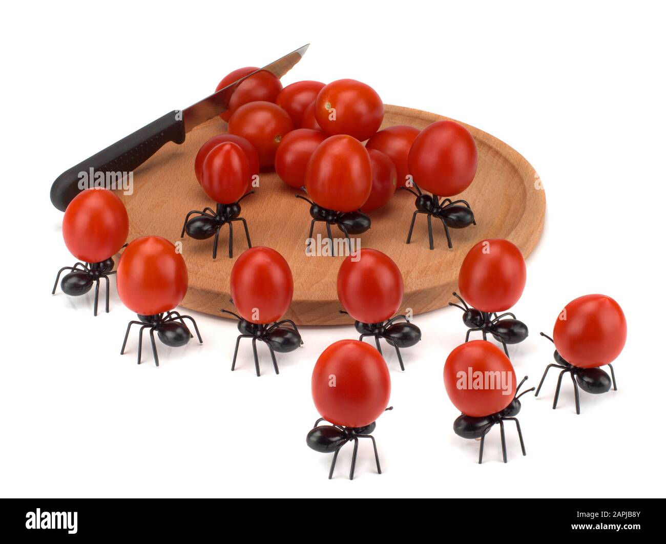 Team von dekorativen lustigen Ameisen, die Kirschtomaten tragen Stockfoto