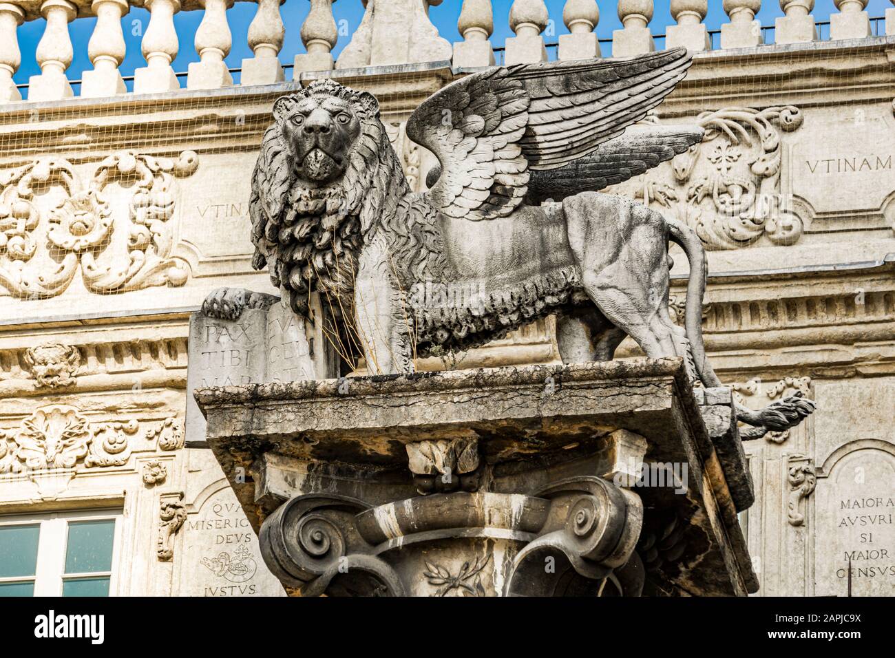 Statue des Markuslöwen, Symbol der Republik Venedig, an der Piazza delle Erbe in Verona, Italien Stockfoto