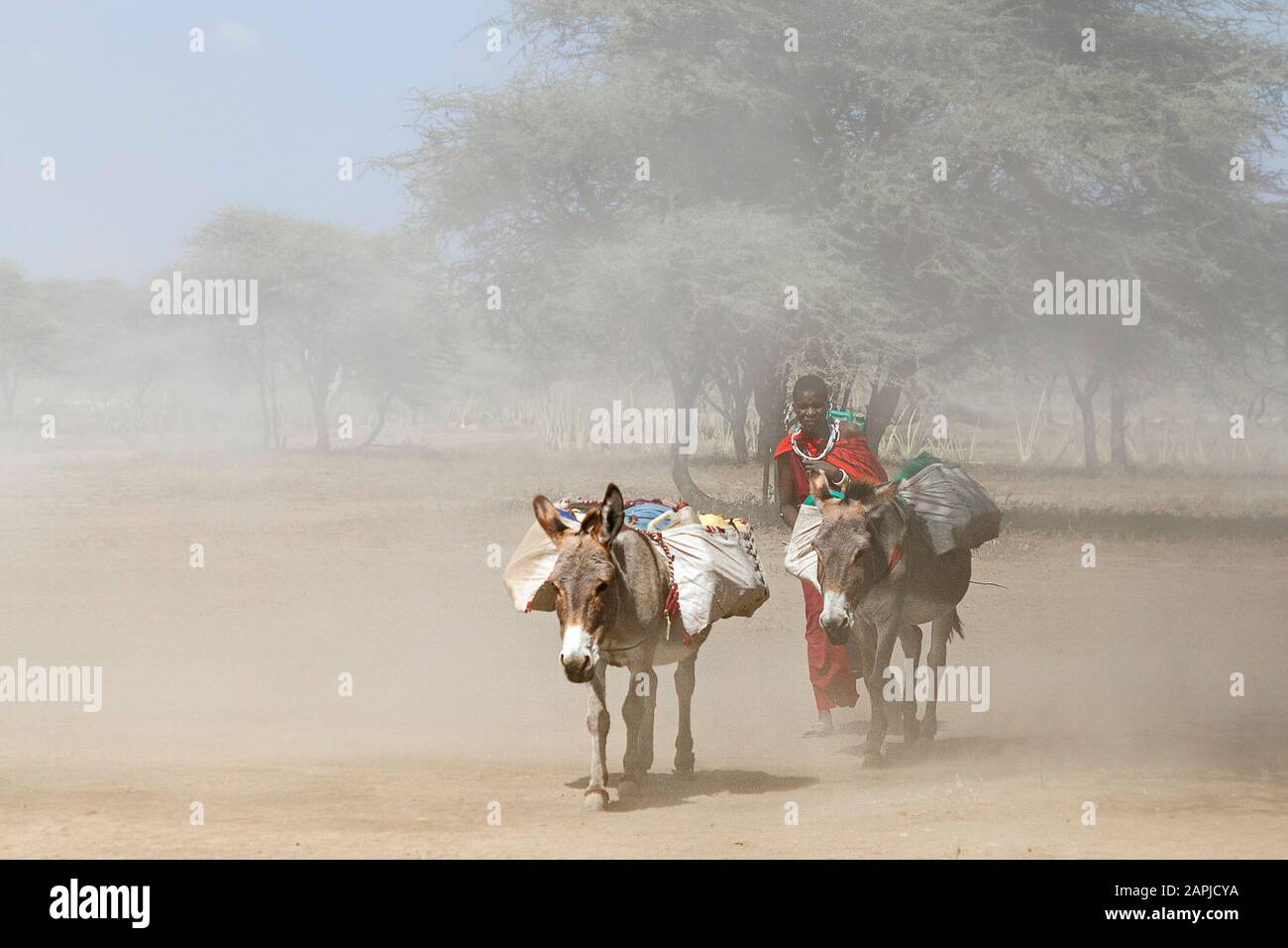 Maasai-Dorf in Tansania Stockfoto