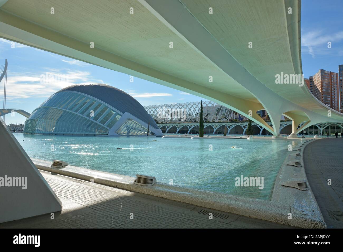 Valencia und die Architektur von Santiago Calatrava Stockfoto