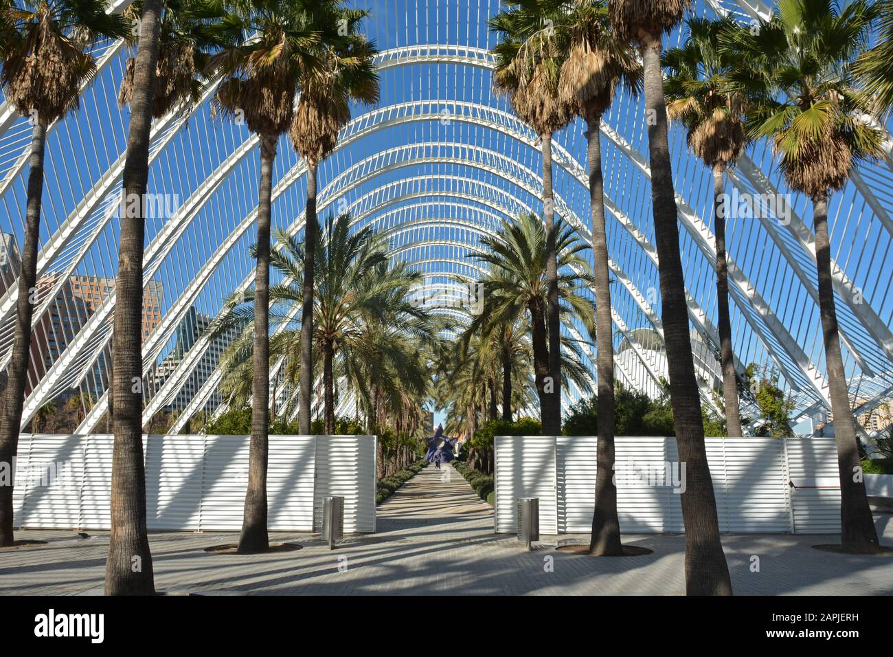 Valencia und die Architektur von Santiago Calatrava Stockfoto