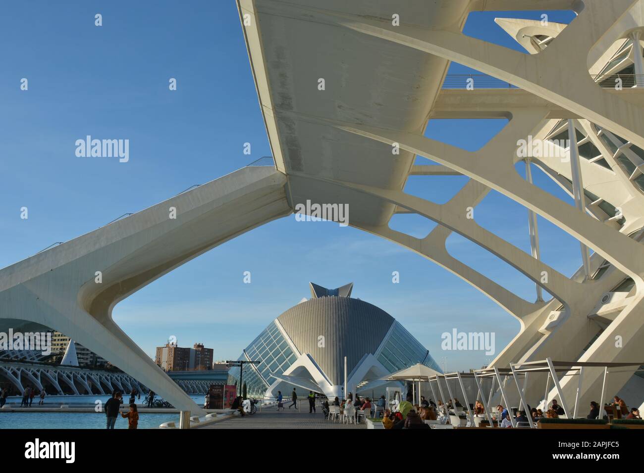 Valencia und die Architektur von Santiago Calatrava Stockfoto