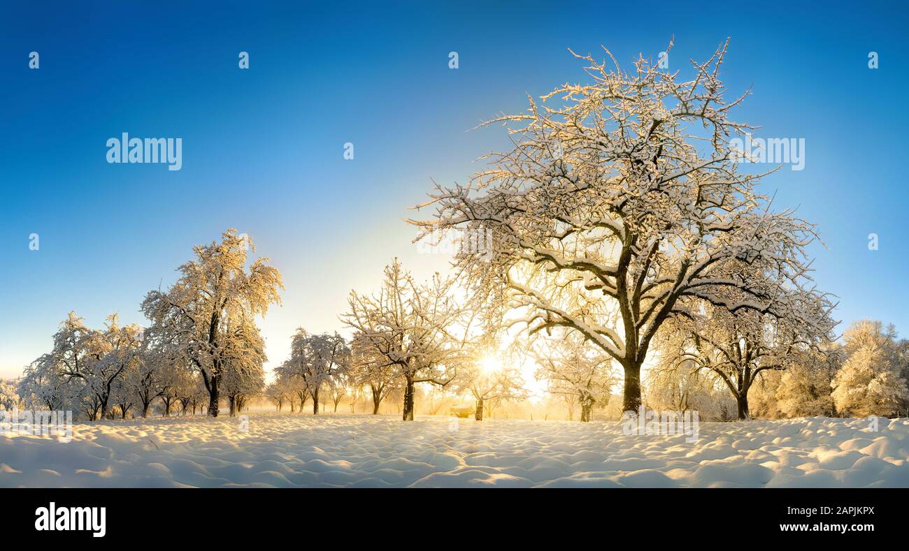 Ländliche Landschaft, verzaubert von Schnee und der goldenen Wintersonne, die am blauen Himmel aufgeht Stockfoto