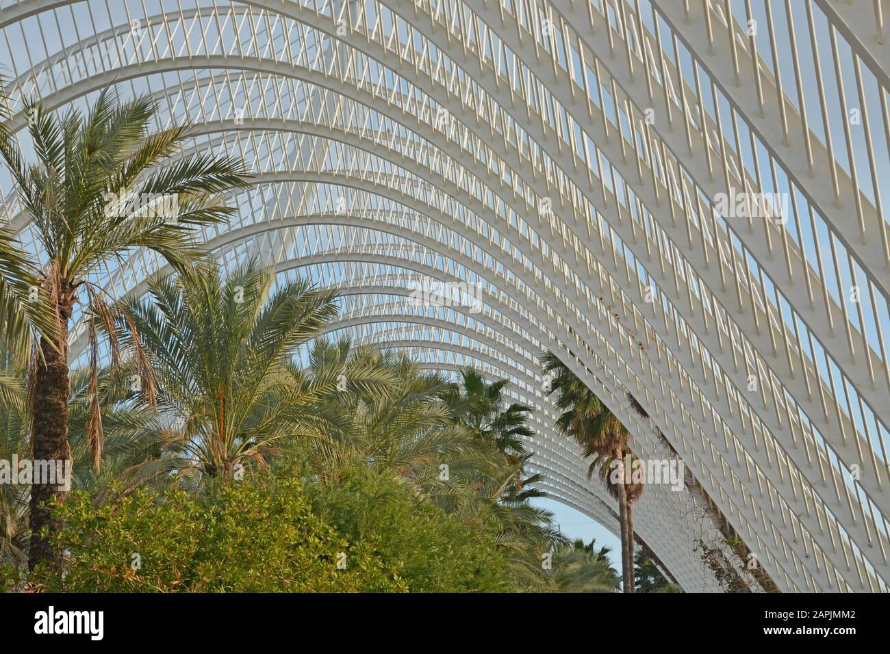 Valencia und die Architektur von Santiago Calatrava Stockfoto