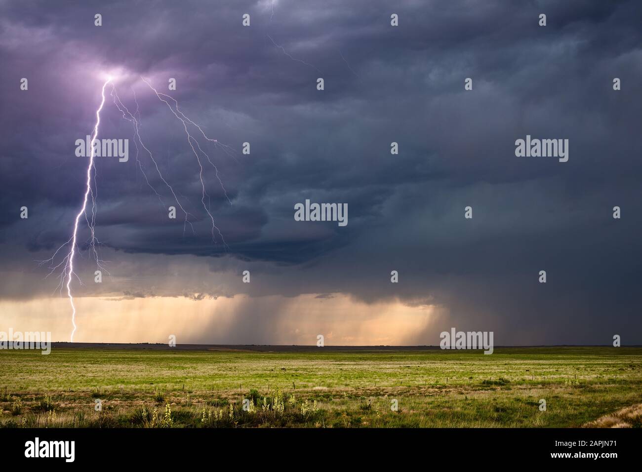 Landschaftlich reizvolle Landschaft in Great Plains mit einer mächtigen Wolke zu Boden Blitzschläge von einem schweren Gewitter in der Nähe von Texline, Texas, USA Stockfoto