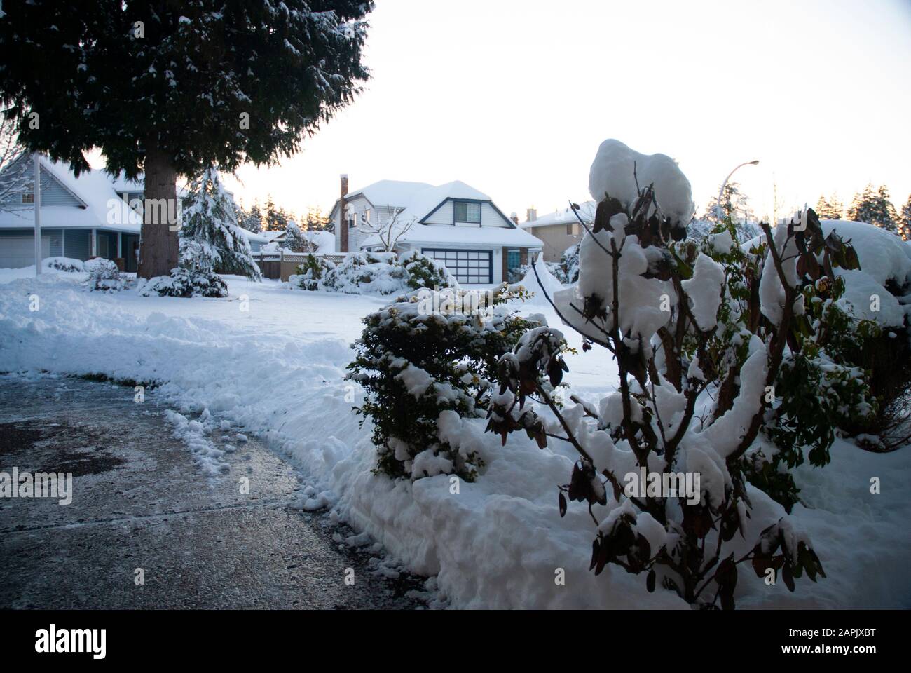 Ein verschneiter Winter in Surrey, British Columbia, Kanada Stockfoto