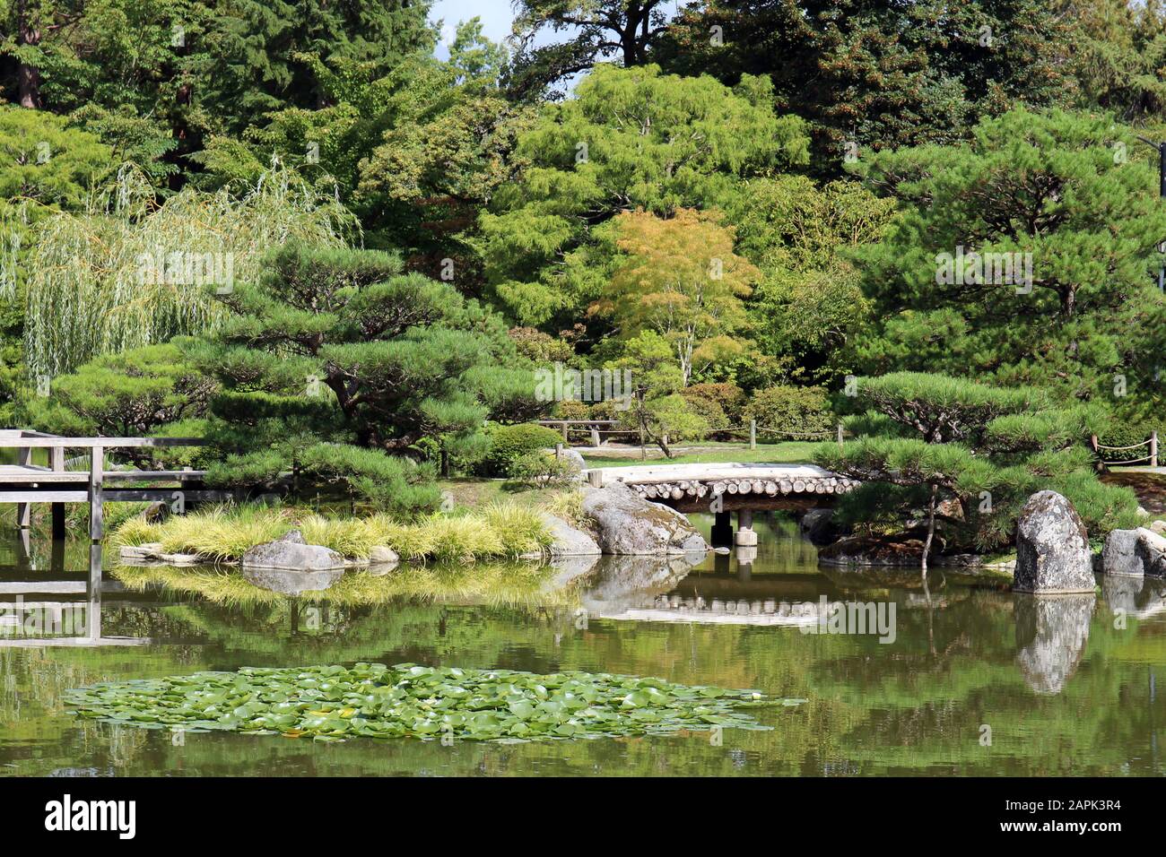 Eine Holzbrücke, die einen großen reflektierenden Teich mit einer Vielzahl von immergrünen, japanischen Maples und Weidenbäumen im Hintergrund in Seattle, Washington, überquert, Stockfoto