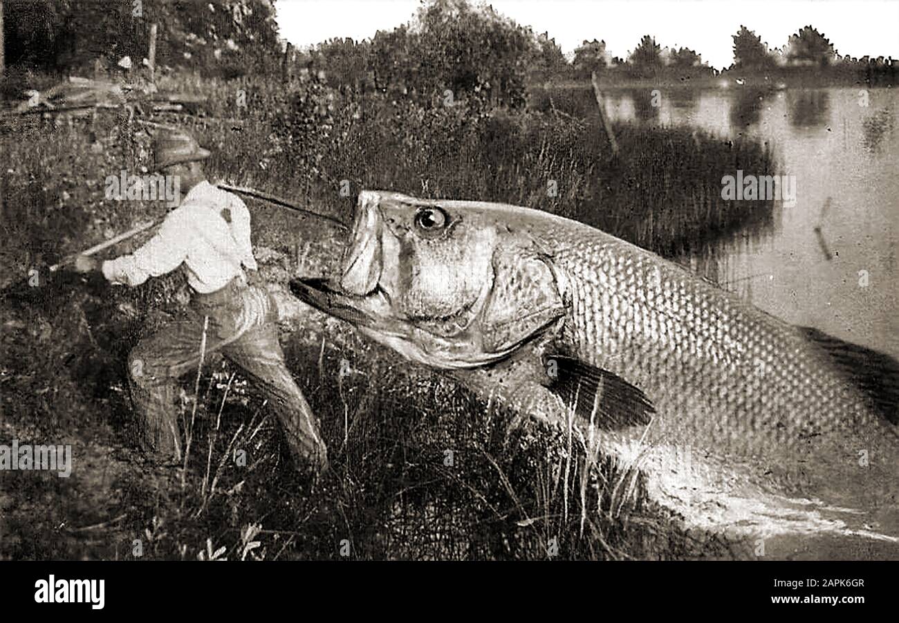 Großer FISCH - Mock-up Historisches Foto, das einen Flussfischer mit dem zeigt, der nicht wegkam. Stockfoto