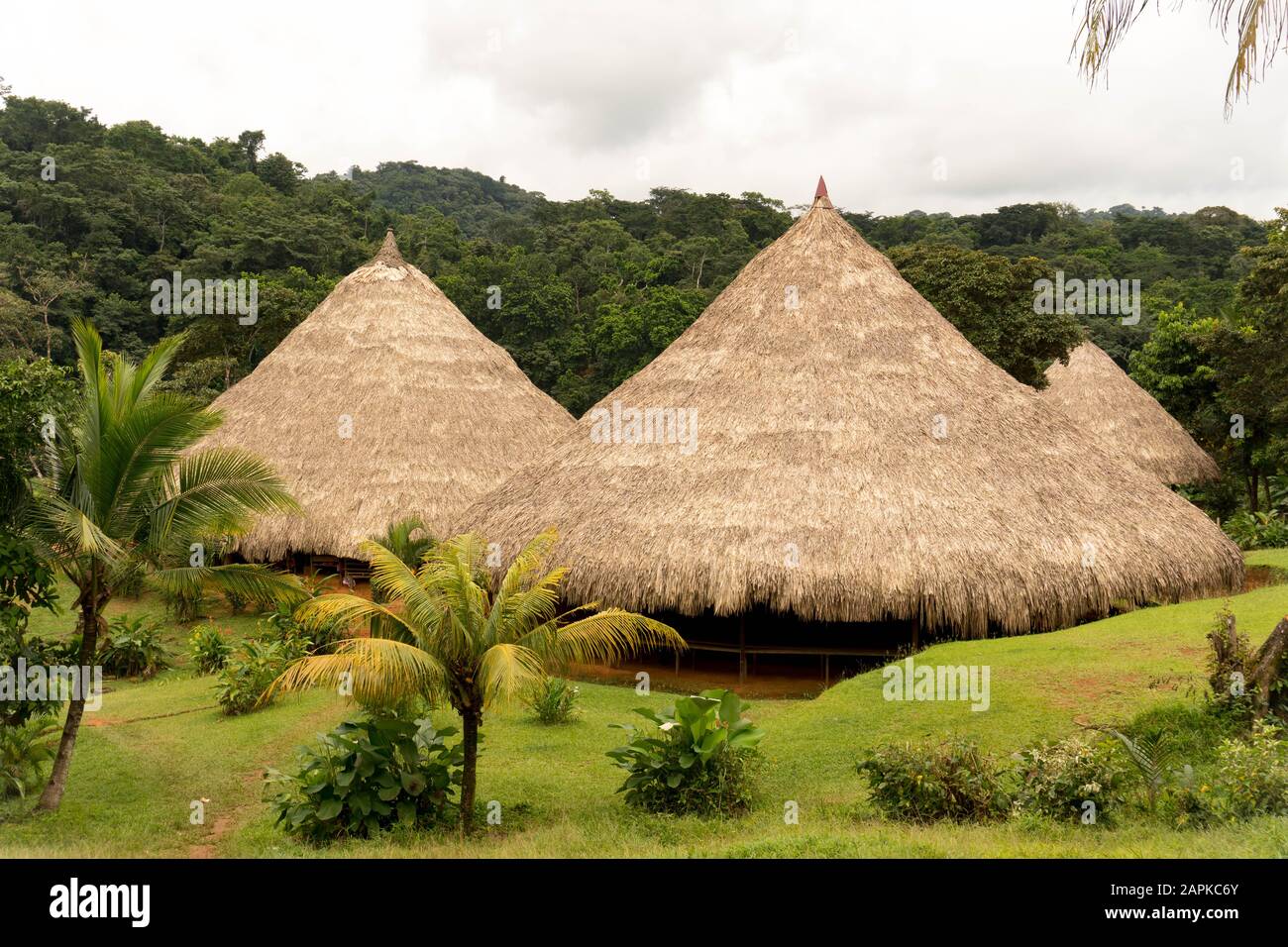 Wunderschönes Dorf Embera in Panama. Das ist das Zuhause für die Menschen in der Embera, das Reetdach ist in jedem Haus gedeckt. Kleines Dorf mitten im Dschungel. Stockfoto