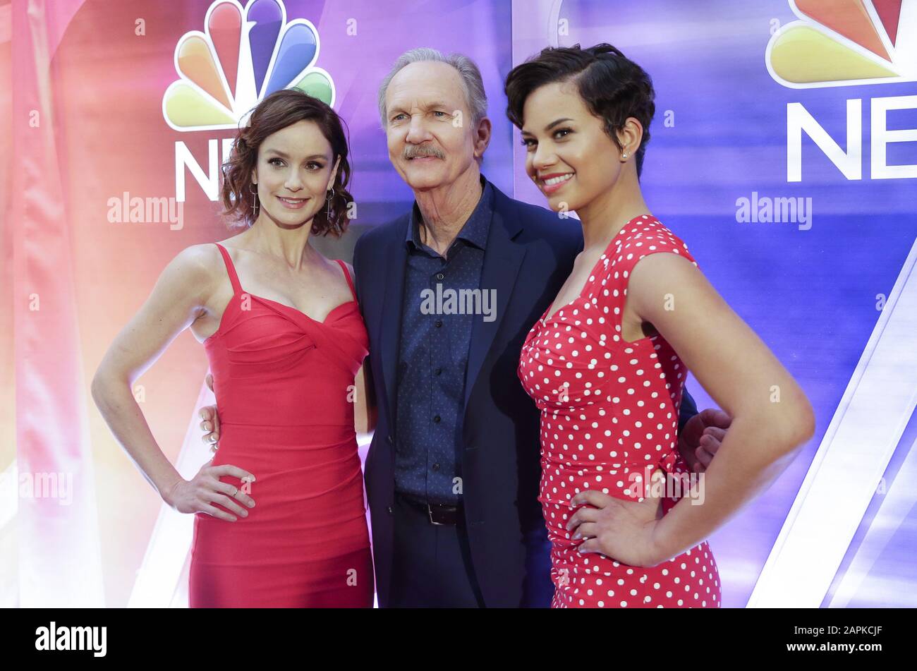 New York, Vereinigte Staaten. Januar 2020. Sarah Wayne Callies, Michael O'Neill und Michele Weaver vom "Council of Dads" treffen am Donnerstag, den 23. Januar 2020 in New York City, auf dem roten Teppich im New Yorker Pressejunket der NBC-Midseason im Four Seasons Hotel New York ein. Foto von John Angelillo/UPI Credit: UPI/Alamy Live News Stockfoto