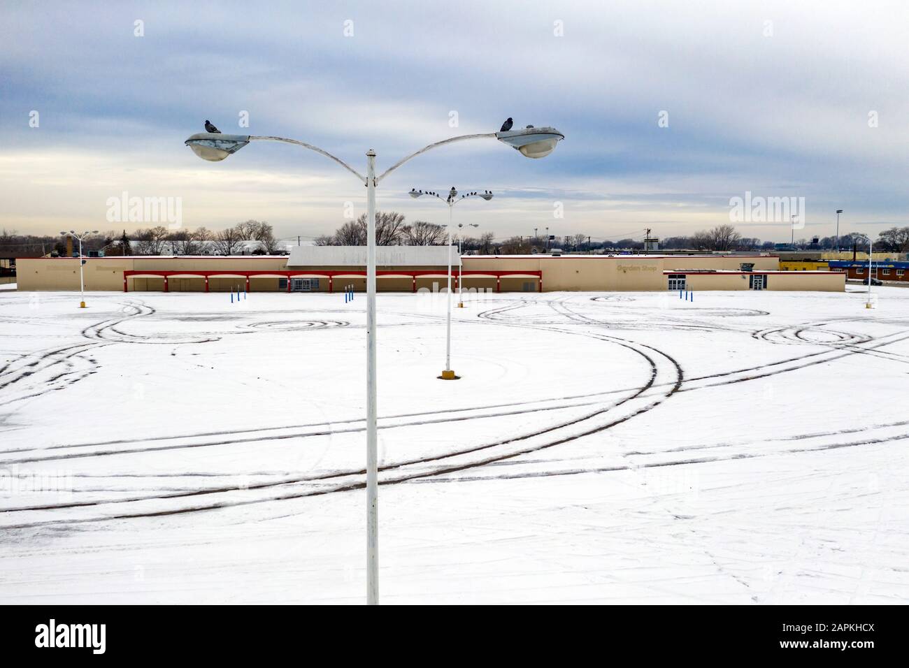 ST Clair Shores, Michigan - Tauben schweben auf Lichtmasten auf einem leeren Parkplatz an einem geschlossenen Kmart in der Vorstadt von Detroit, einem von vielen großen Kastengeschäften Stockfoto