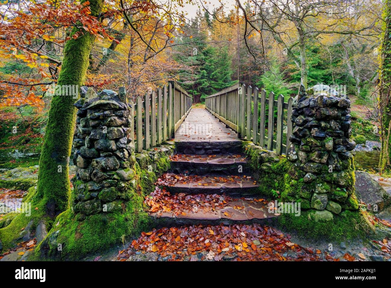 Zwei steinerne Säulen und Stufen alter Holzbrücke mit mosigen Felsen im Tollymore Forest Park im Herbst, Newcastle, County Down, Nordirland Stockfoto