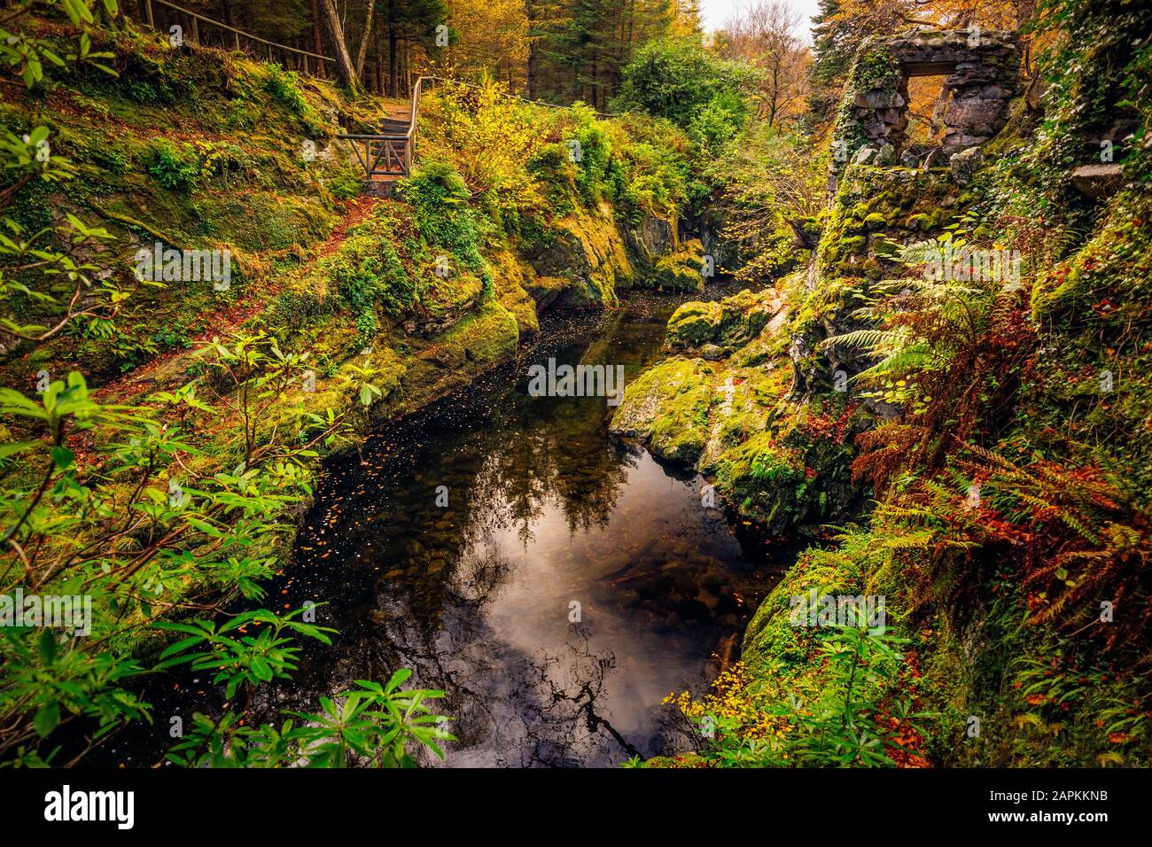 Steintor des alten Wegs mit Fluss unterhalb und grünen Mossy-Felsen im Tollymore Forest Park im Herbst, Newcastle, County Down, Nordirland Stockfoto