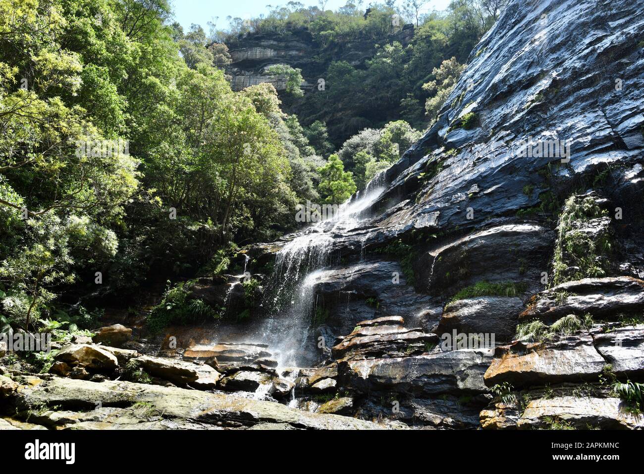 Blick auf den unteren Abschnitt der Bridal Veil Falls bei Leura in den Blue Mountains westlich von Sydney Stockfoto