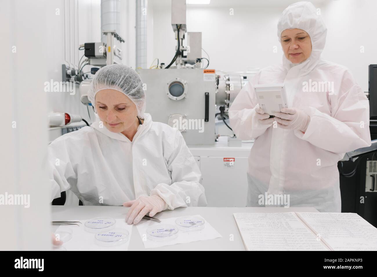 Zwei Wissenschaftler im Labor Stockfoto