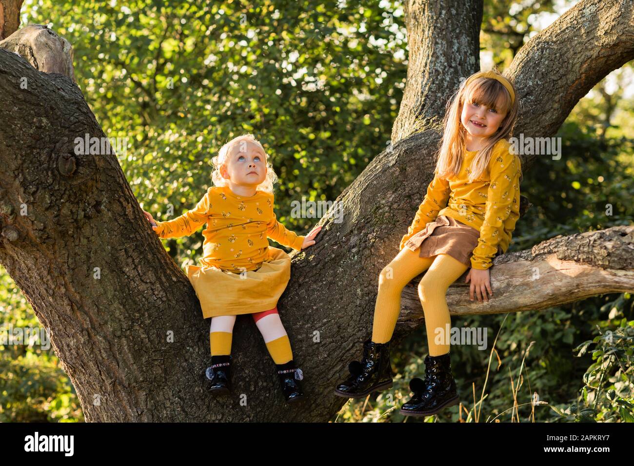 Zwei kleine, in Gelb gekleidete Mädchen sitzen am Baumstamm Stockfoto