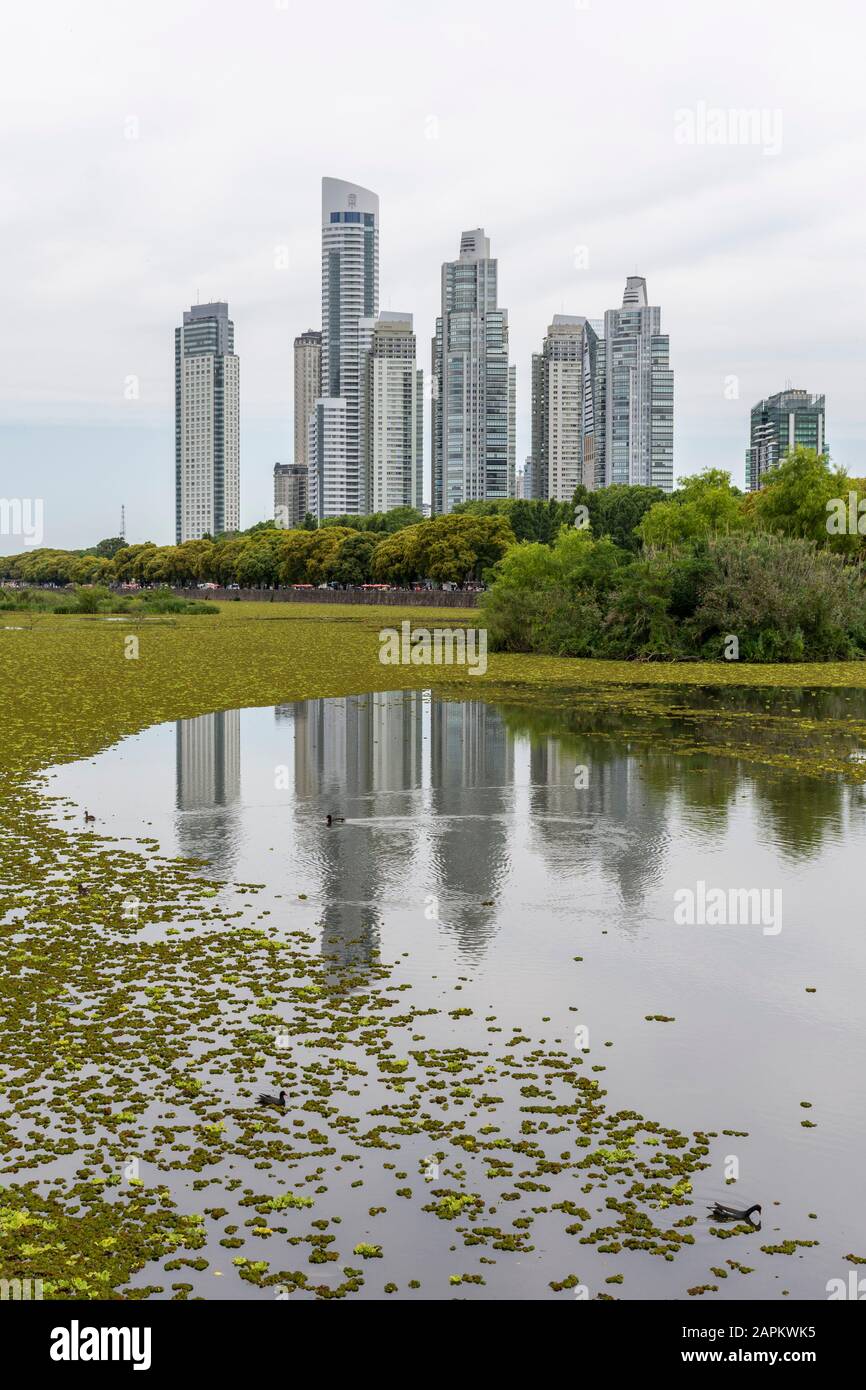 Schöner Blick auf moderne Gebäude von der grünen ökologischen Gegend in Puerto Madero, Buenos Aires, Argentinien Stockfoto