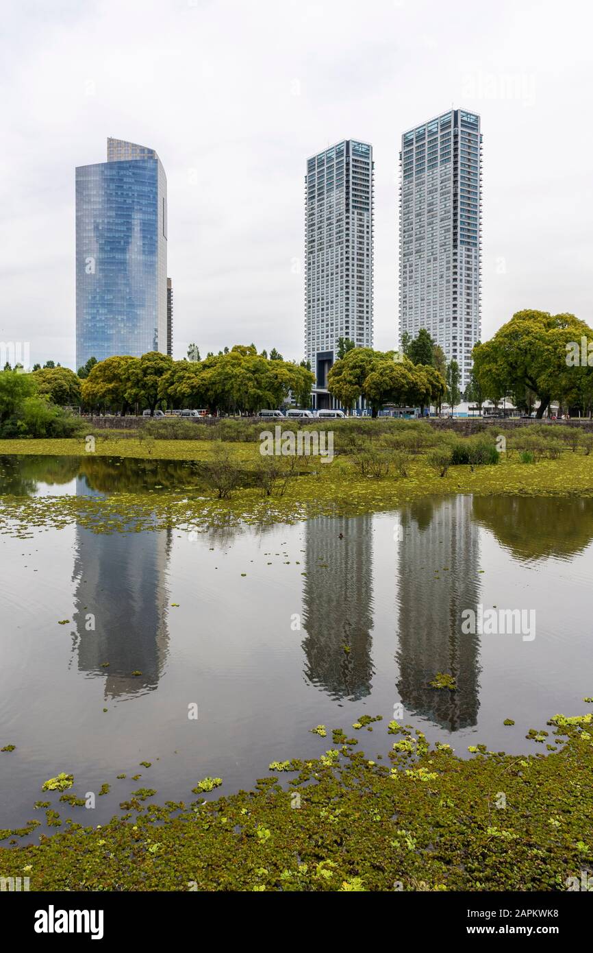 Schöner Blick auf moderne Gebäude von der grünen ökologischen Gegend in Puerto Madero, Buenos Aires, Argentinien Stockfoto