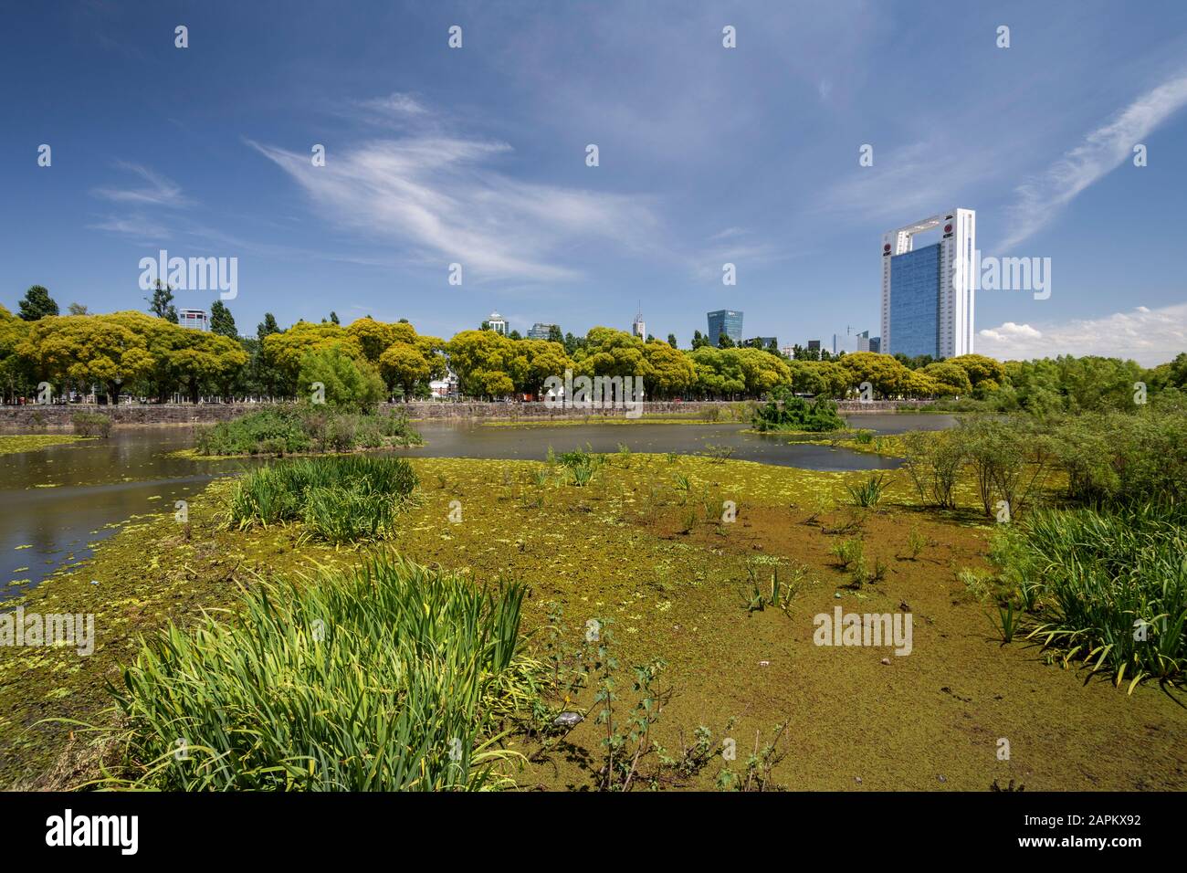 Schöner Blick auf moderne Gebäude von der grünen ökologischen Gegend in Puerto Madero, Buenos Aires, Argentinien Stockfoto