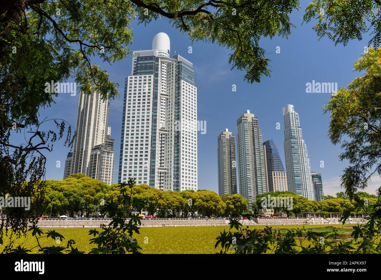 Schöner Blick auf moderne Gebäude von der grünen ökologischen Gegend in Puerto Madero, Buenos Aires, Argentinien Stockfoto