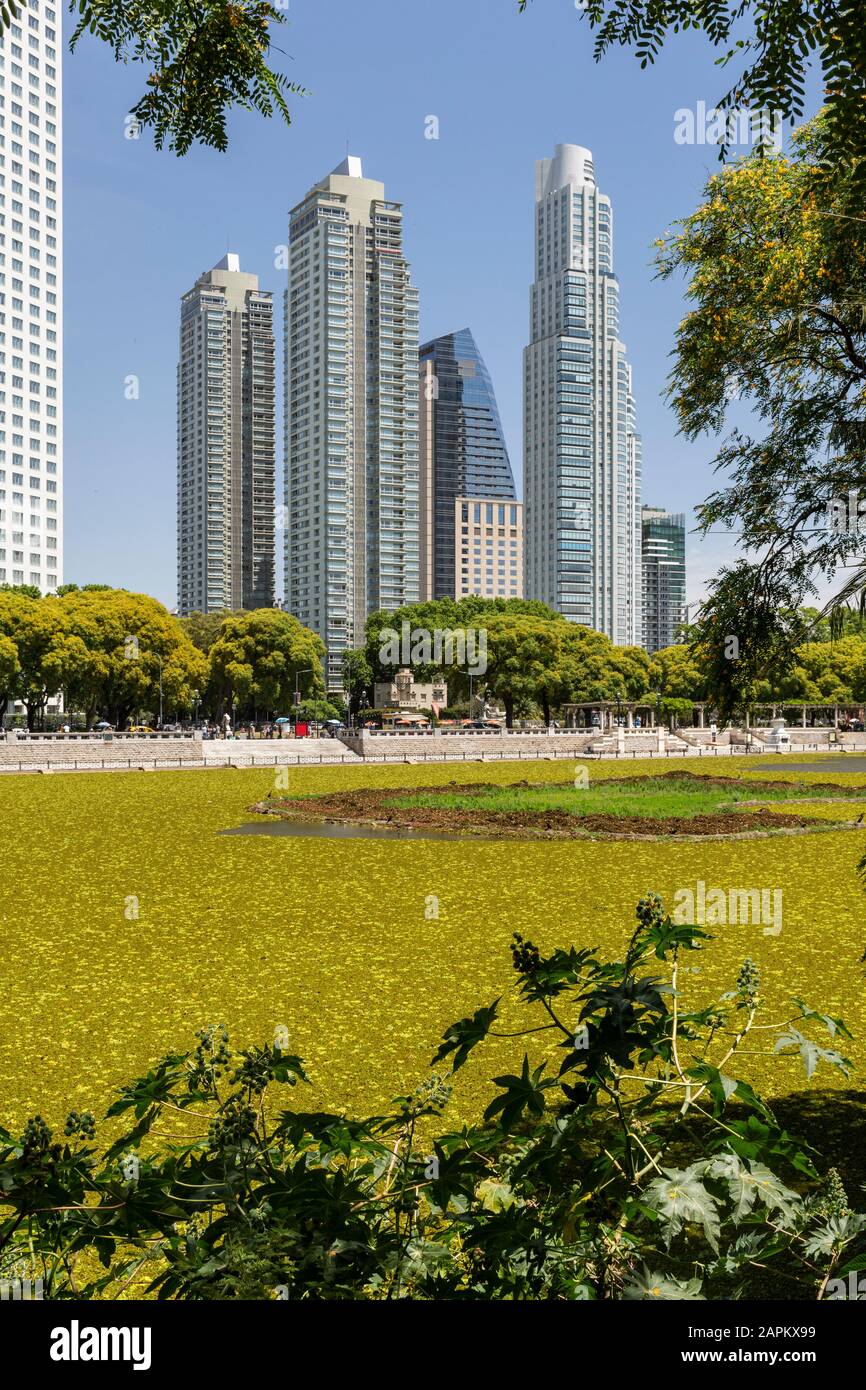 Schöner Blick auf moderne Gebäude von der grünen ökologischen Gegend in Puerto Madero, Buenos Aires, Argentinien Stockfoto