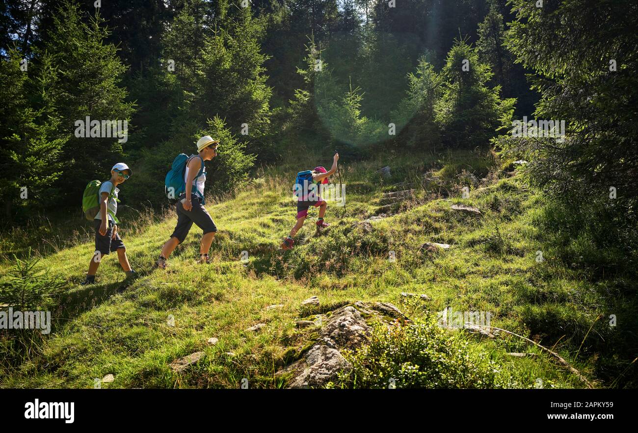 Mutter mit zwei Kindern, die in alpiner Landschaft, Passeiertal, Südtirol, Italien wandern Stockfoto