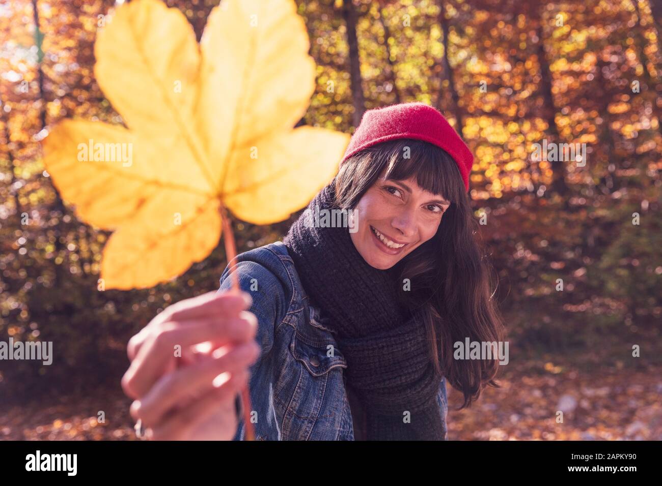Frau mit rotem wolligem Hut, der gelbes Herbstblatt hält Stockfoto