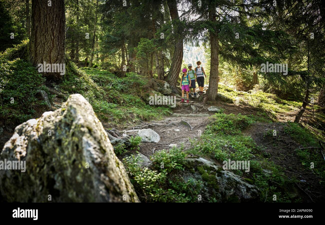 Mutter mit zwei Kindern, die in Wald, Passeiertal, Südtirol, Italien wandern Stockfoto