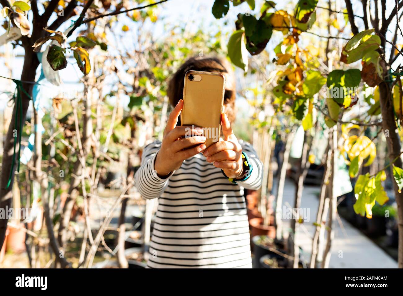 Die Hände des Jungen holden goldenes Smartphone draußen Stockfoto