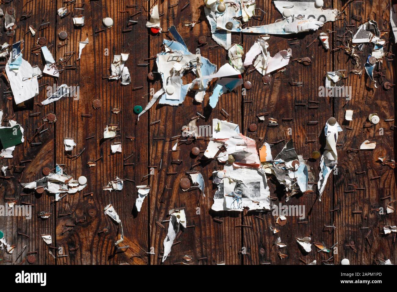 Zerrissene Papierstücke, die an Holzbretter festgeklemmt sind Stockfoto