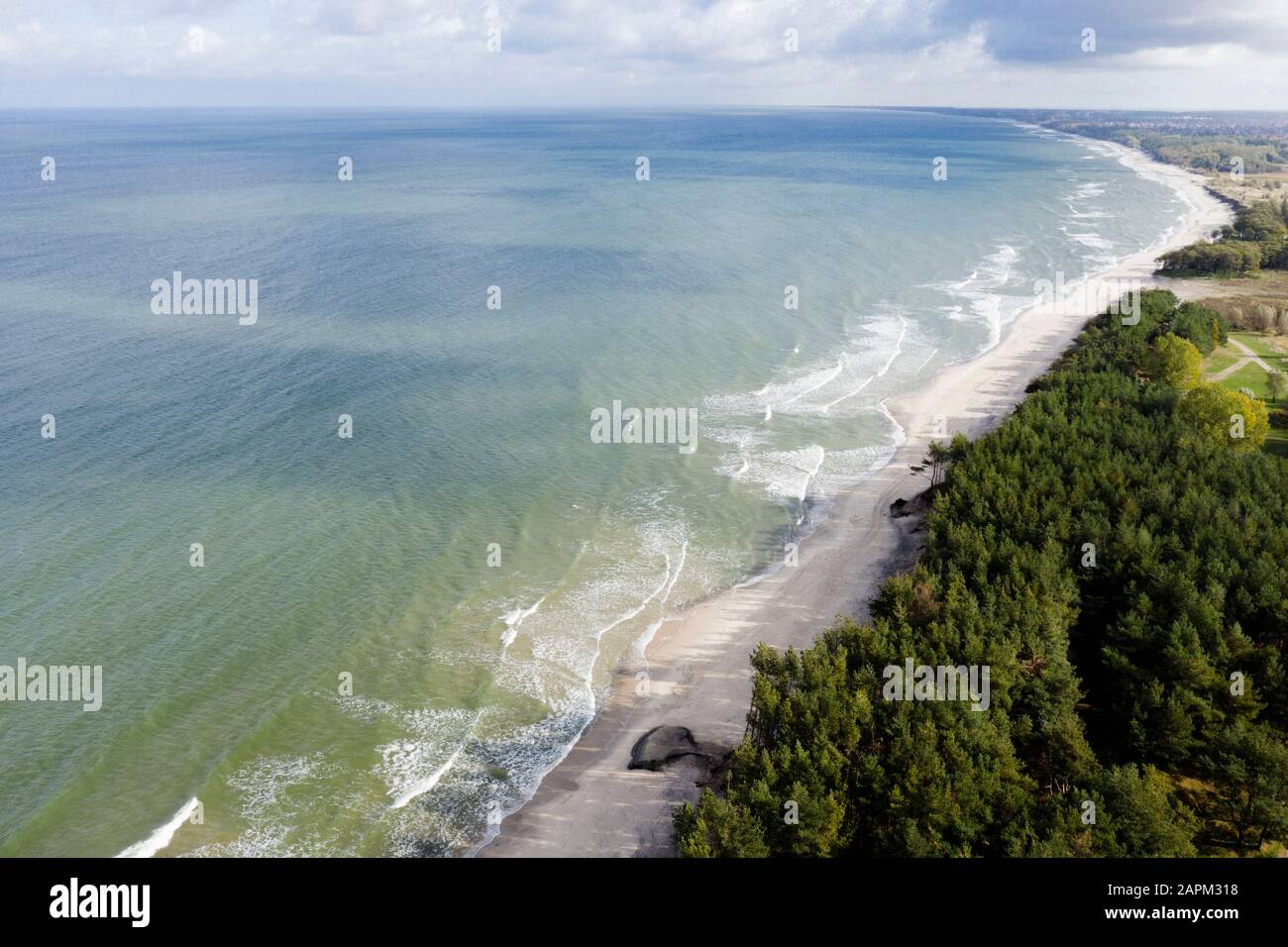 Russland, Kaliningrad Oblast, Zelenogradsk, Luftaufnahme der bewaldeten Küste der Ostsee Stockfoto