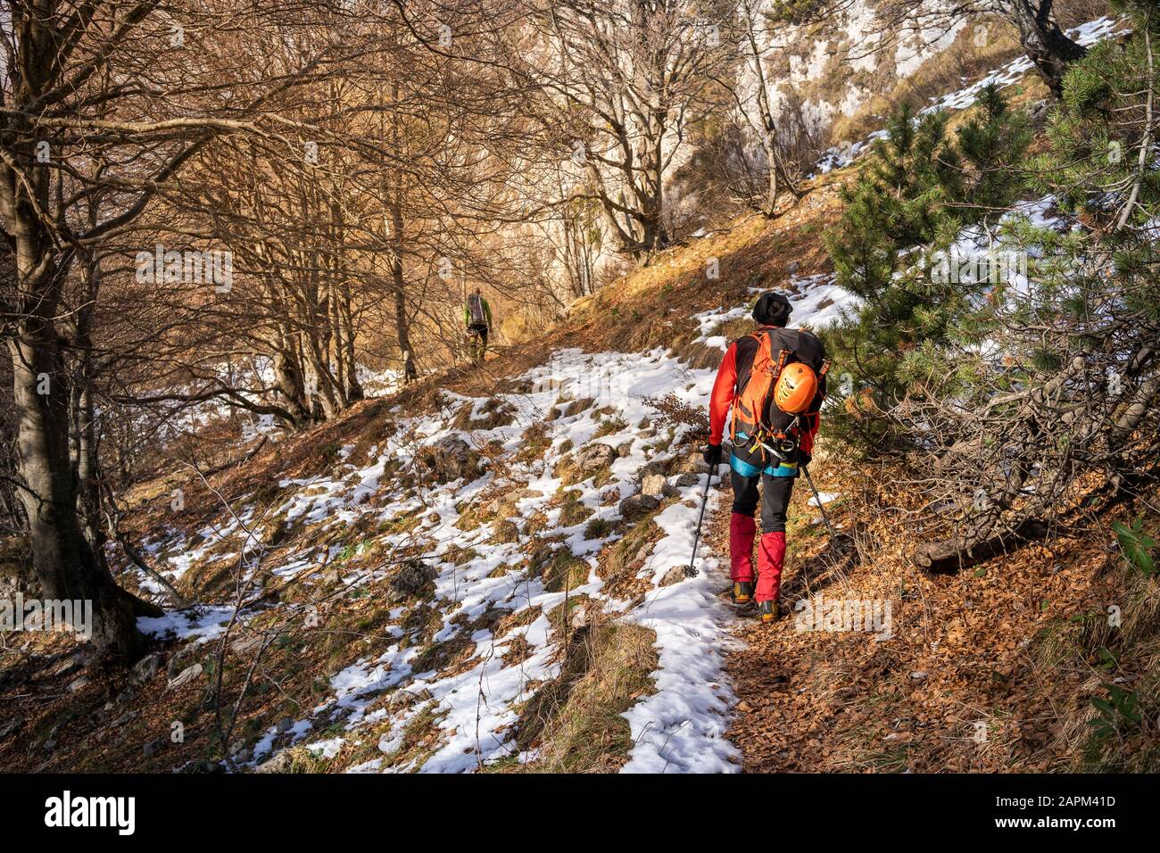 Zwei Wanderswalker verschneiten Wald, Orobie Alps, Lecco, Italien Stockfoto