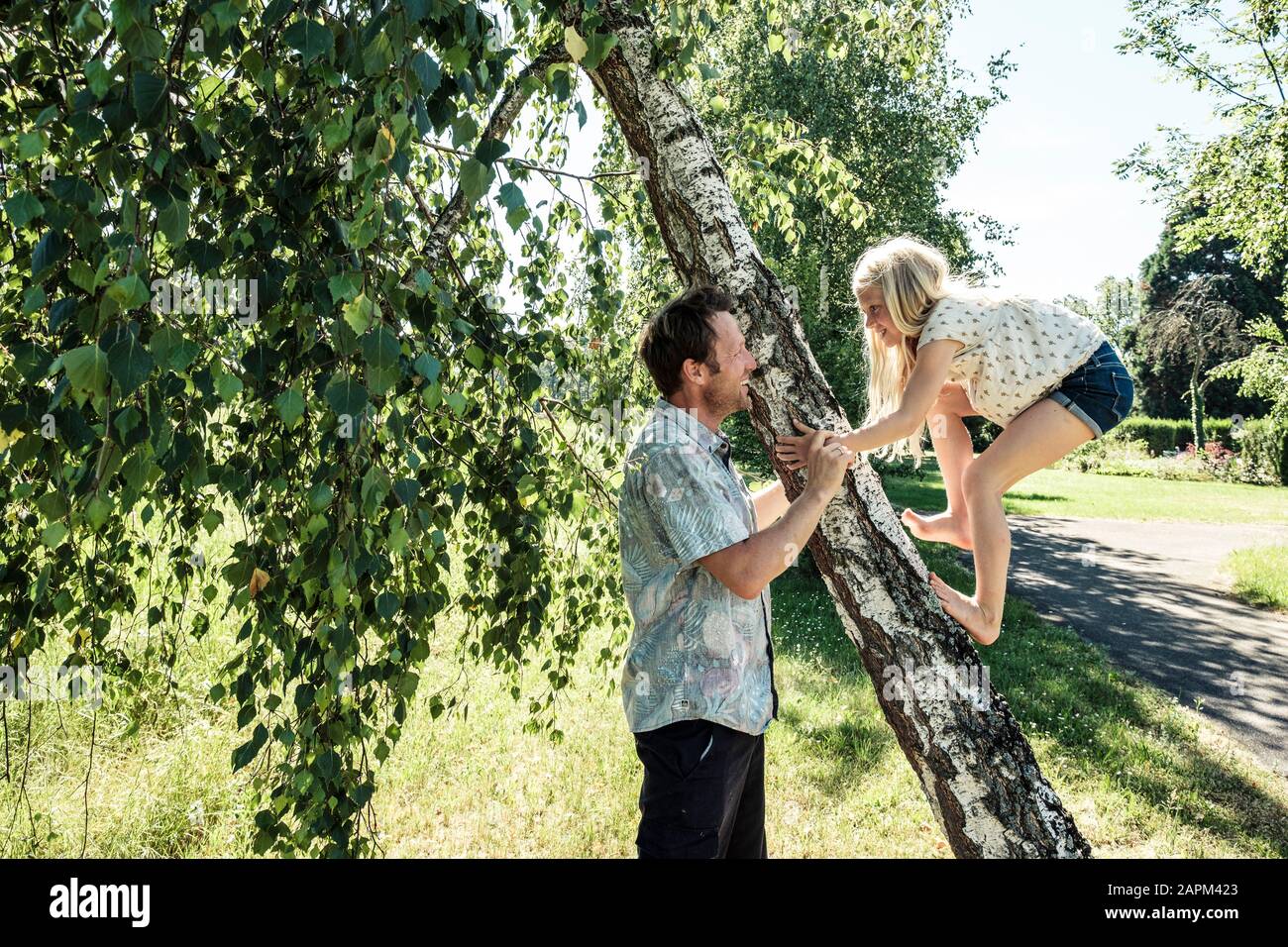 Vater hilft Tochter beim Besteigen eines Birkenstamms im Park Stockfoto