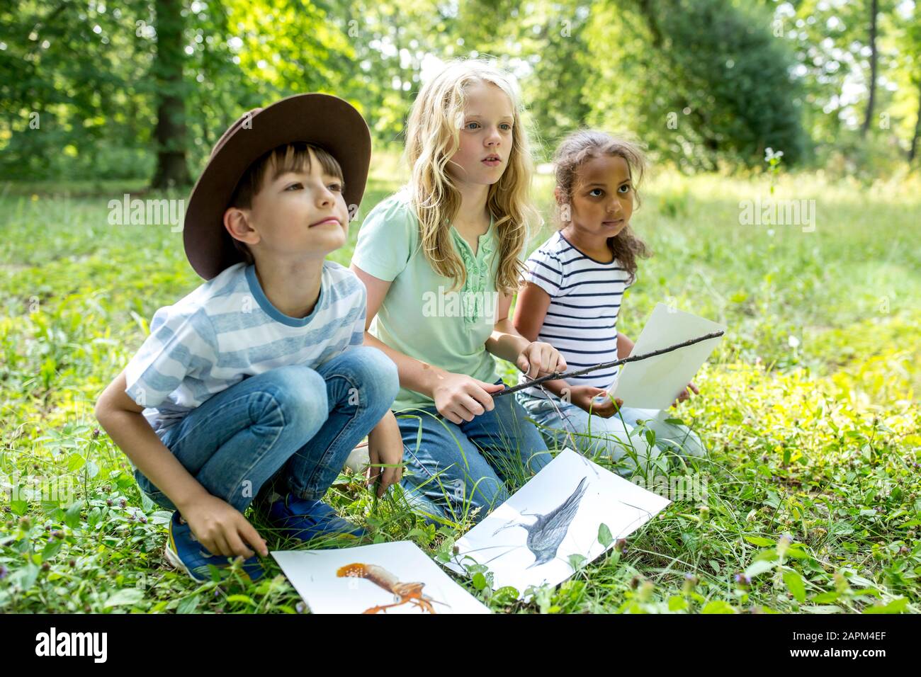 Schulkinder lernen, Tierarten im Wald zu unterscheiden Stockfoto