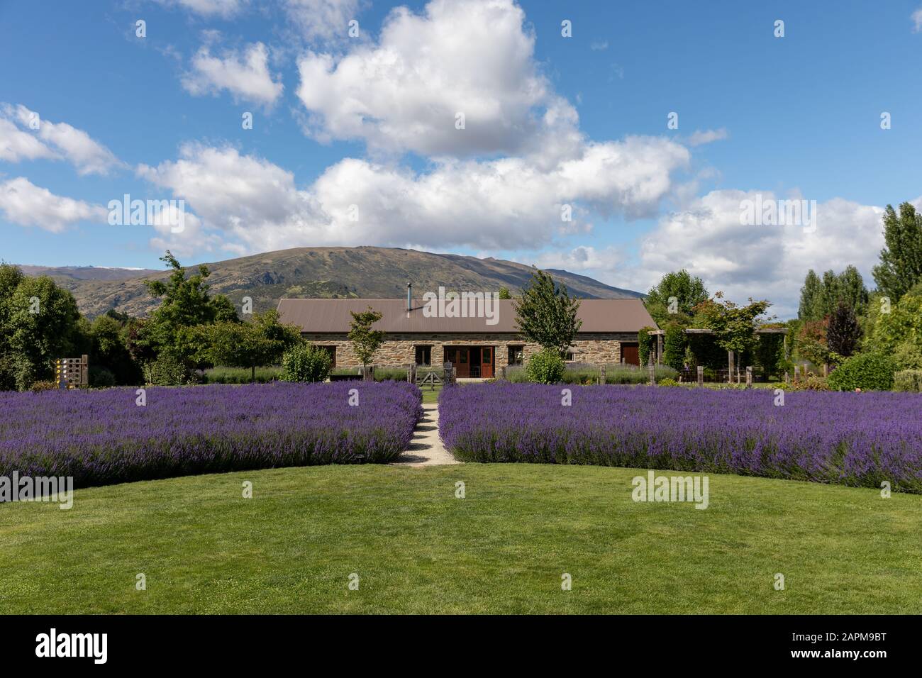 Außenansicht der Wanaka Lavender Farm, Neuseeland Stockfoto