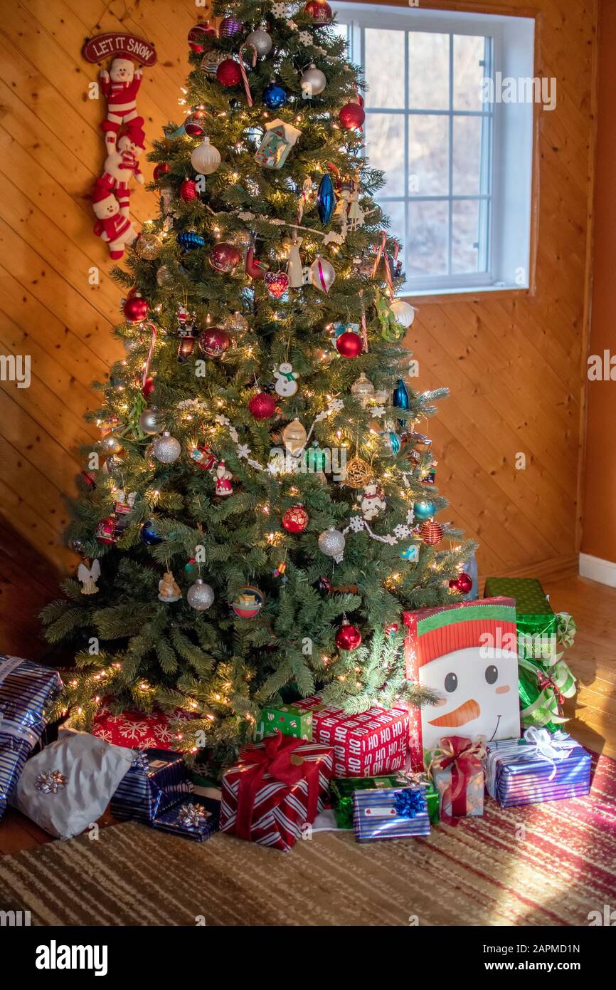 Weihnachtsbaum der Familie mit Geschenks unten am Weihnachtsmorgen Stockfoto