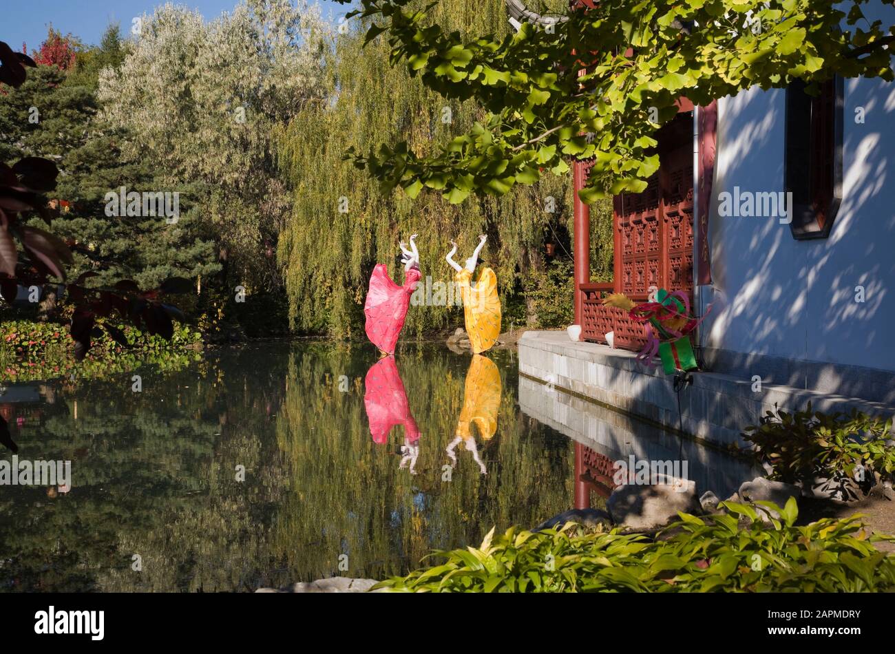 Chinesische Tänzerinnen zeigen sich in der Ausstellung „Magie der Laternen“ Am Lotusteich mit dem Steinbootpavillon in Der Chinesische Garten im Herbst Stockfoto