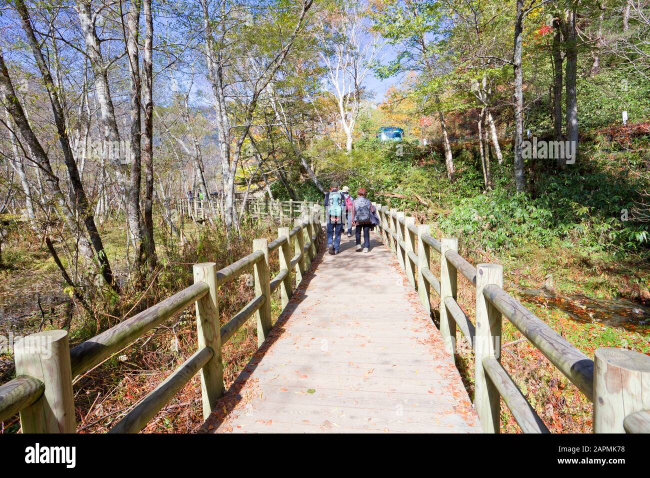 Der Kamikochi-Naturpfad in Nagano, Japan Stockfoto