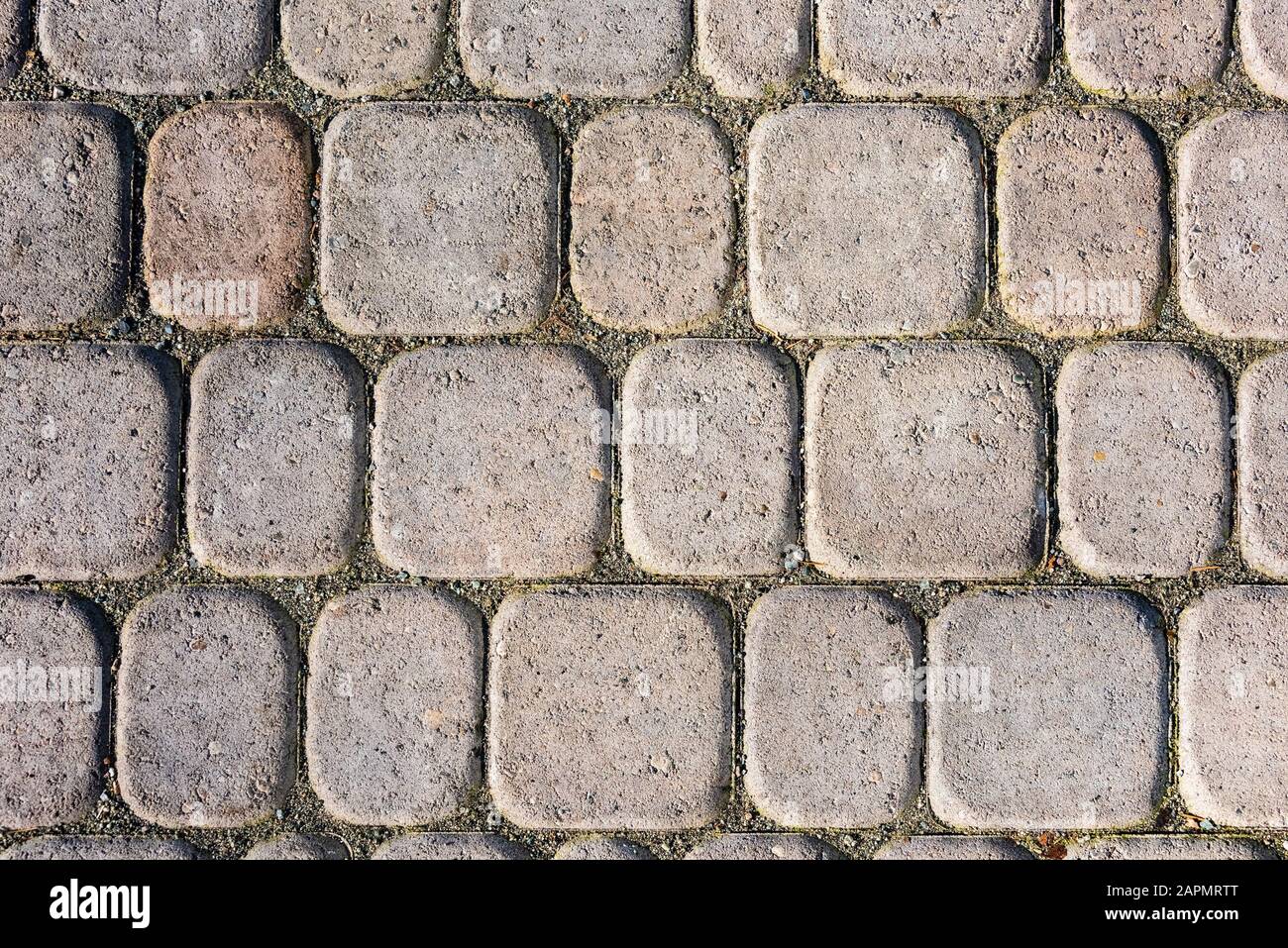 Detaillierte Struktur des gepflasterten Pfads mit kleinen Blöcken. Stockfoto