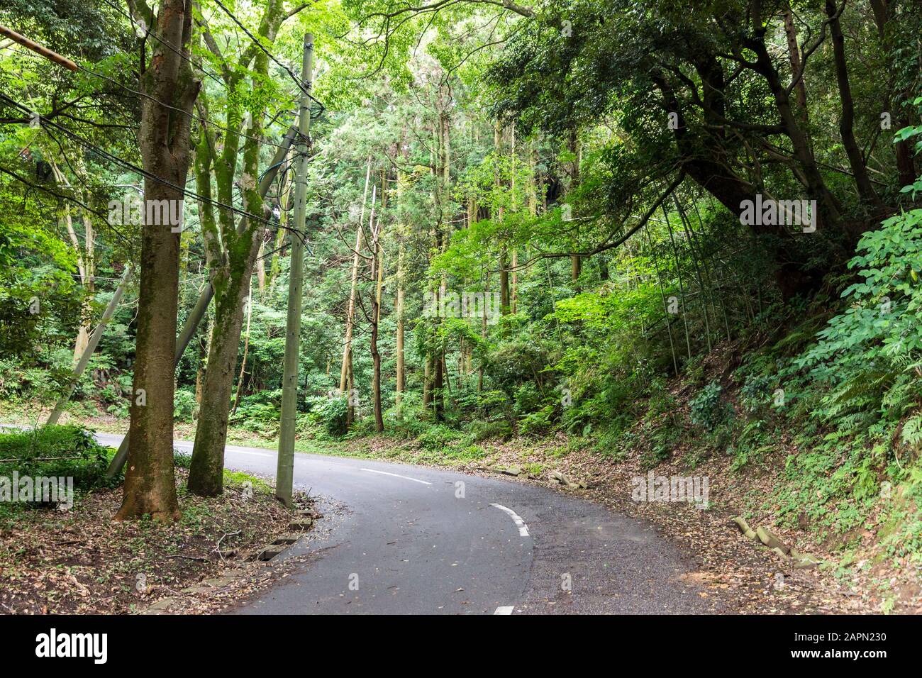 Futtsu, Japan. Das Gelände und der Park der Tokioter Bucht Kannon (Tokyo Wan Kannon), eine 56 m hohe Statue, die Guanyin, die buddhistische Gottheit der Barmherzigkeit, darstellt Stockfoto