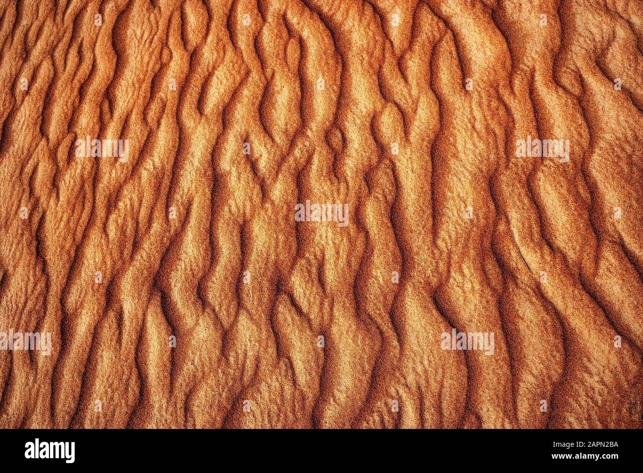 Wellenstruktur, Sanddüne, Wüste Rimal al Wahiba oder Wahiba Sands, Sultanat Oman Stockfoto
