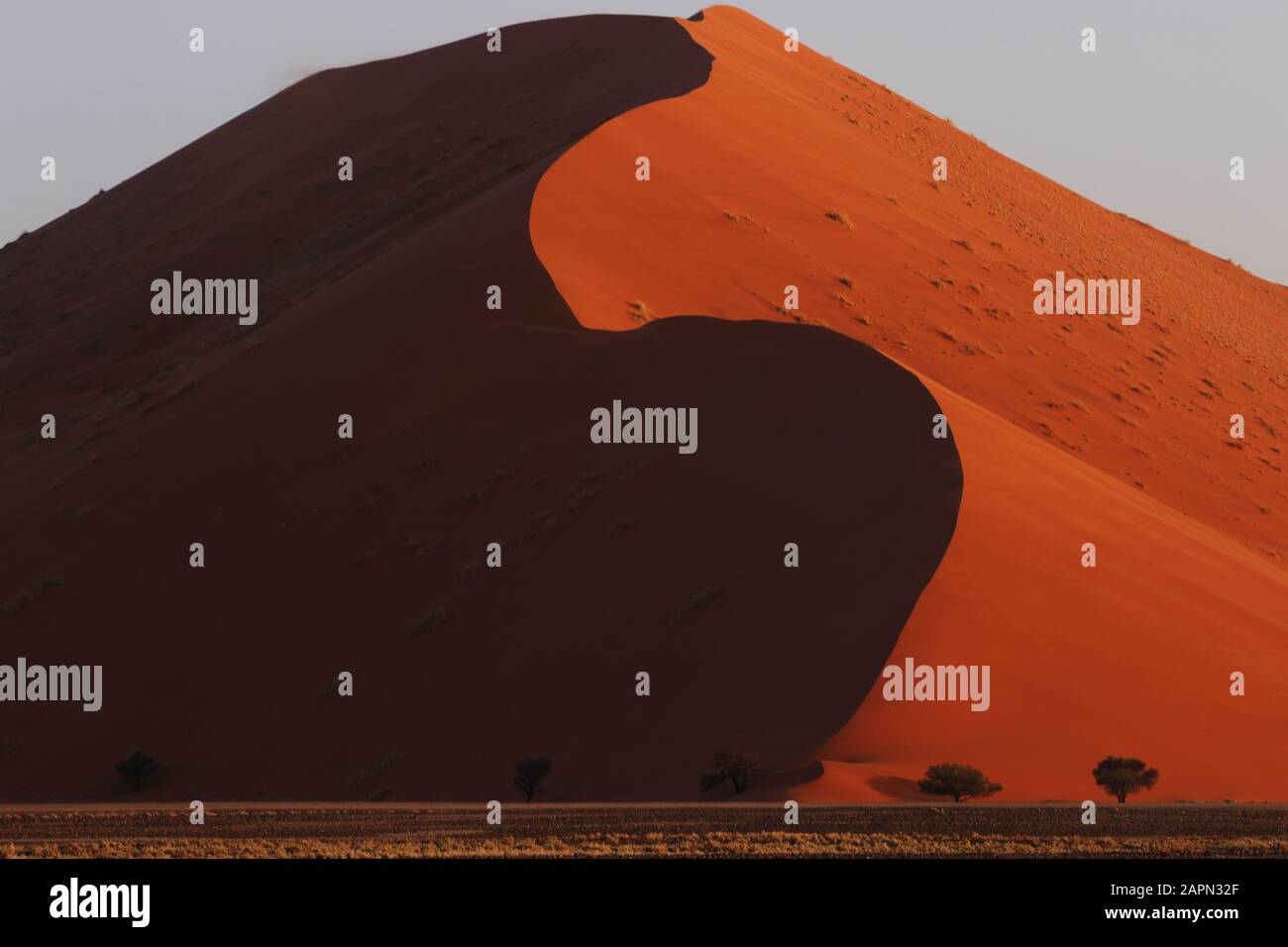Panoramalandschaft einer riesigen Sanddüne mit tiefen Schatten Stockfoto