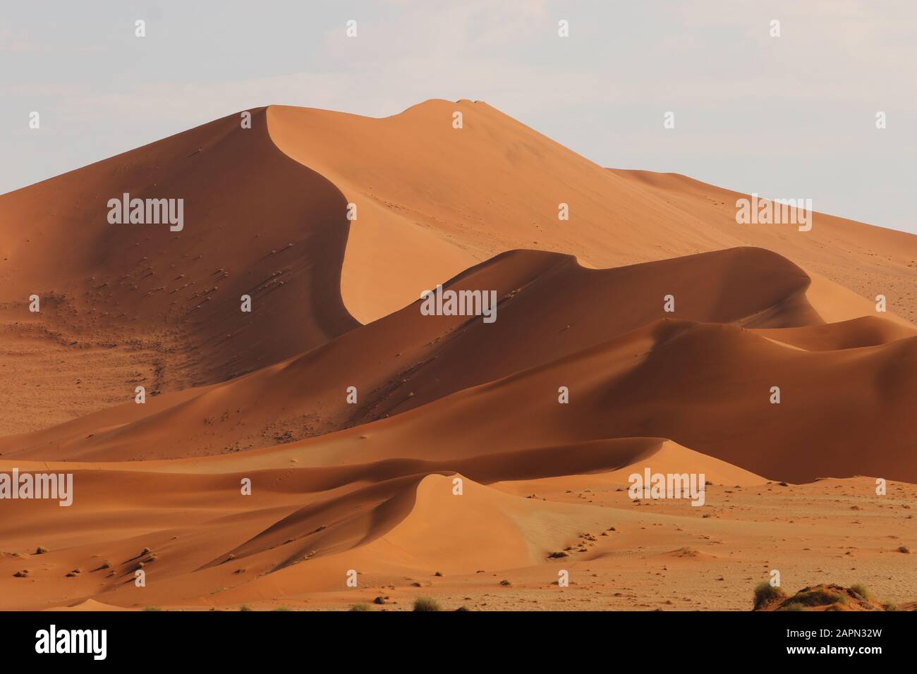 Panorama-Aufnahme von schönen Sanddünen mit niedrigen und hohen Gipfel in der Namib Wüste Stockfoto