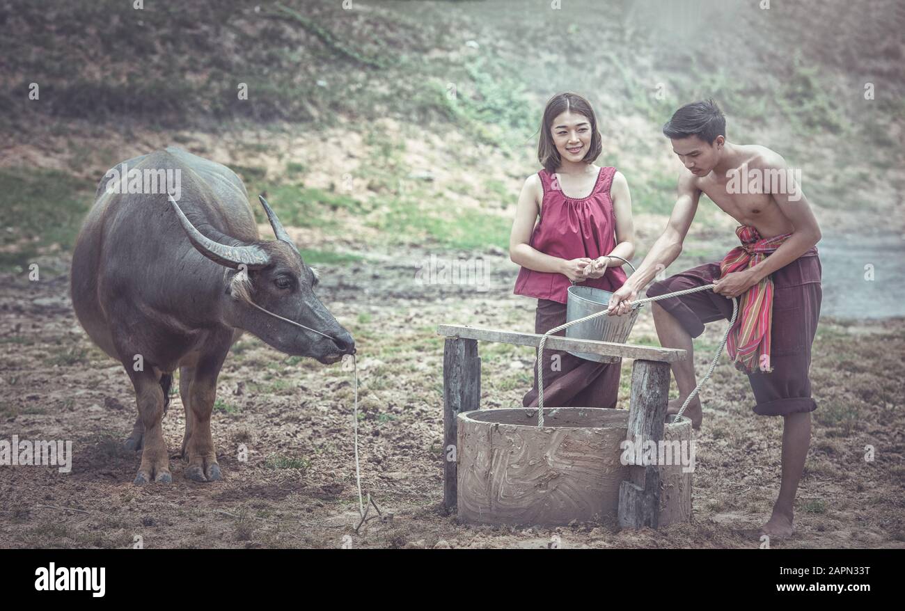 Paare thailändische Bauern Familie Glückszeit, Sie geben Wasser für Büffel. Stockfoto