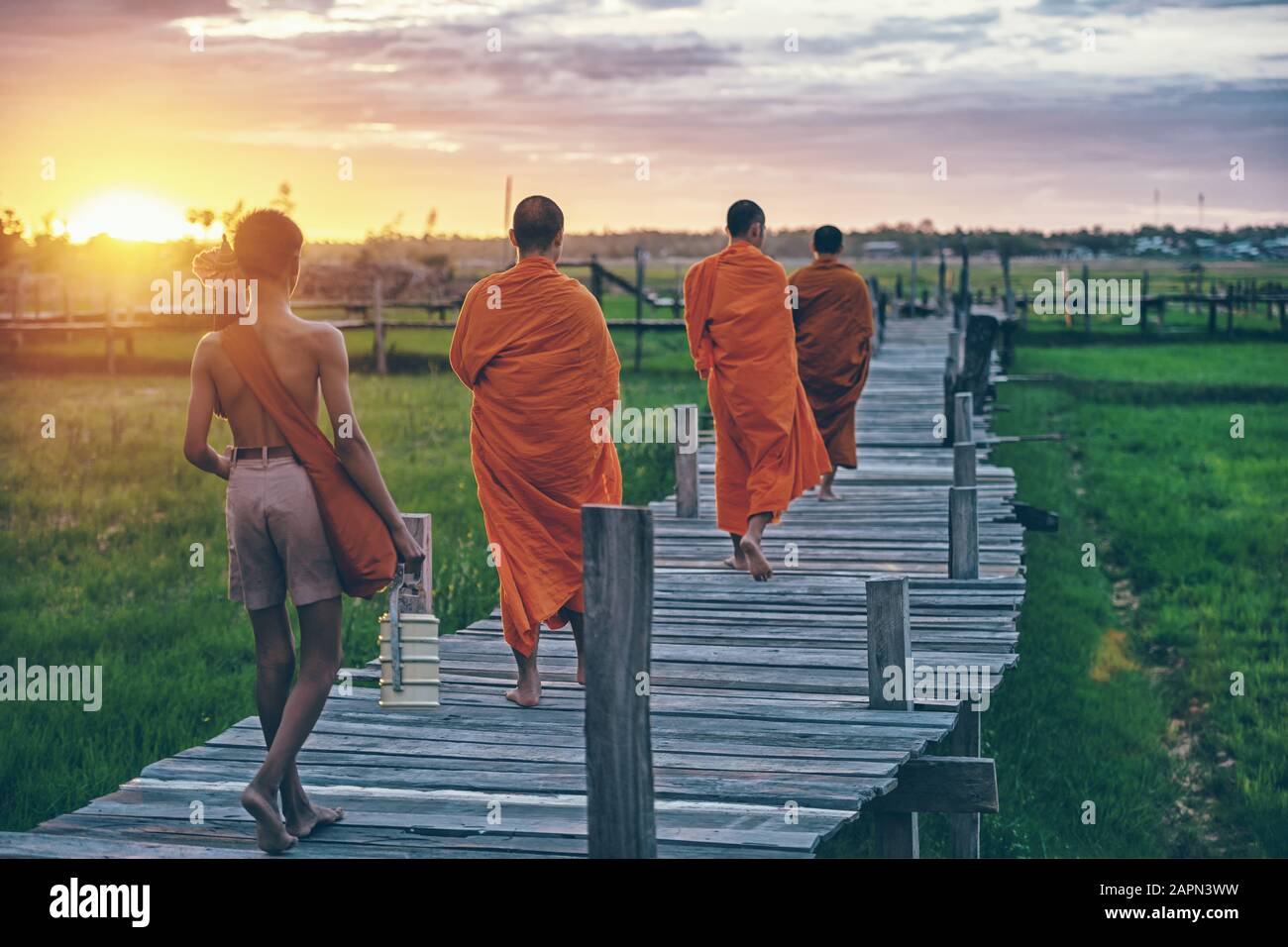 Buddhistische Mönche am Morgen traditionelle Almosen in Thailand geben. Stockfoto