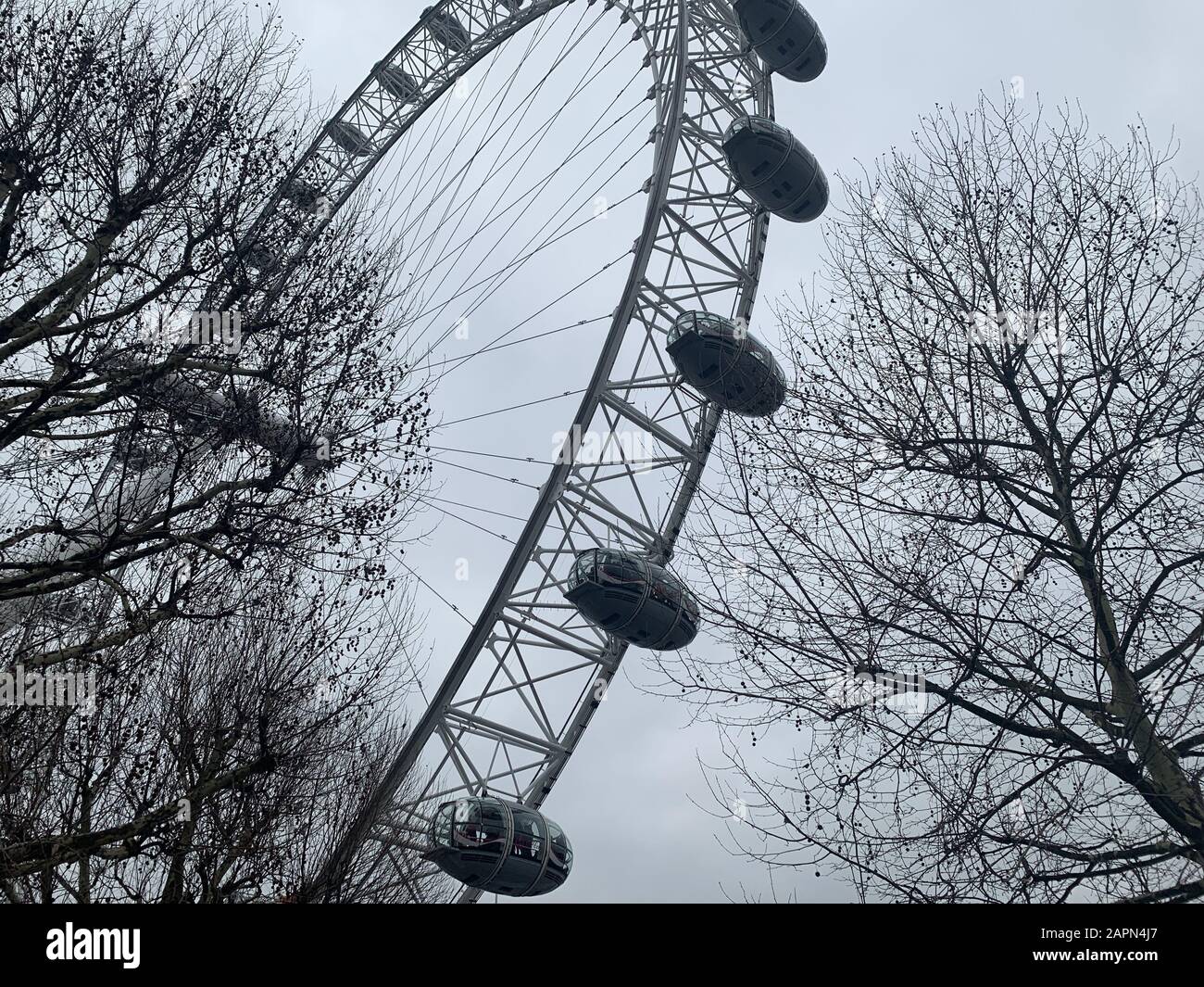 Low-Angle-Aufnahme des London Eye zwischen zwei trockenen Bäume unter einem bewölkten Himmel Stockfoto