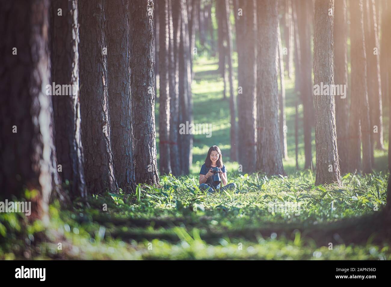 Ein Fotograf, der sich an den Baum lehnt und dabei den Moment genießt, in dem sie mit ihrer Kamera, dem hoch gelegenen Kiefernwald, Thailand, aufgenommen wurde. Stockfoto