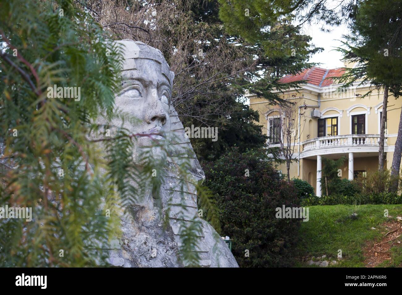 Foto des Gesichts einer Sphynx, umgeben von einem Baum Niederlassungen in einem öffentlichen Park in Zadar Kroatien Stockfoto
